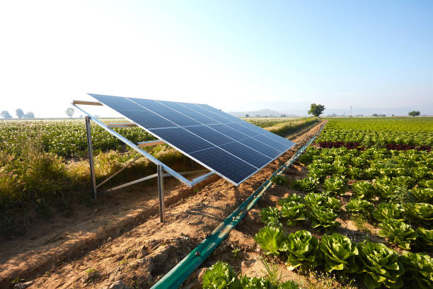 Solar Scheme Maharashtra 2025
